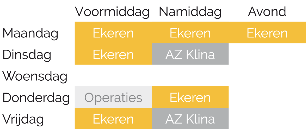 Schema Dr. Stazie Dierckxsens Schema Dr. Stazie Dierckxsens